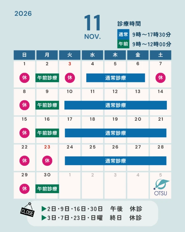 2026年11月